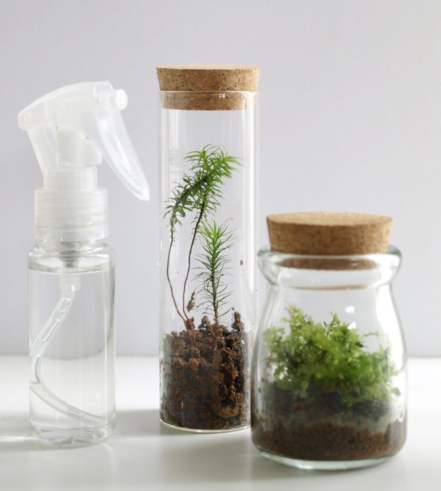 ミストの細かい】水やりスプレー（霧吹き） 苔テラリウム用 | 苔