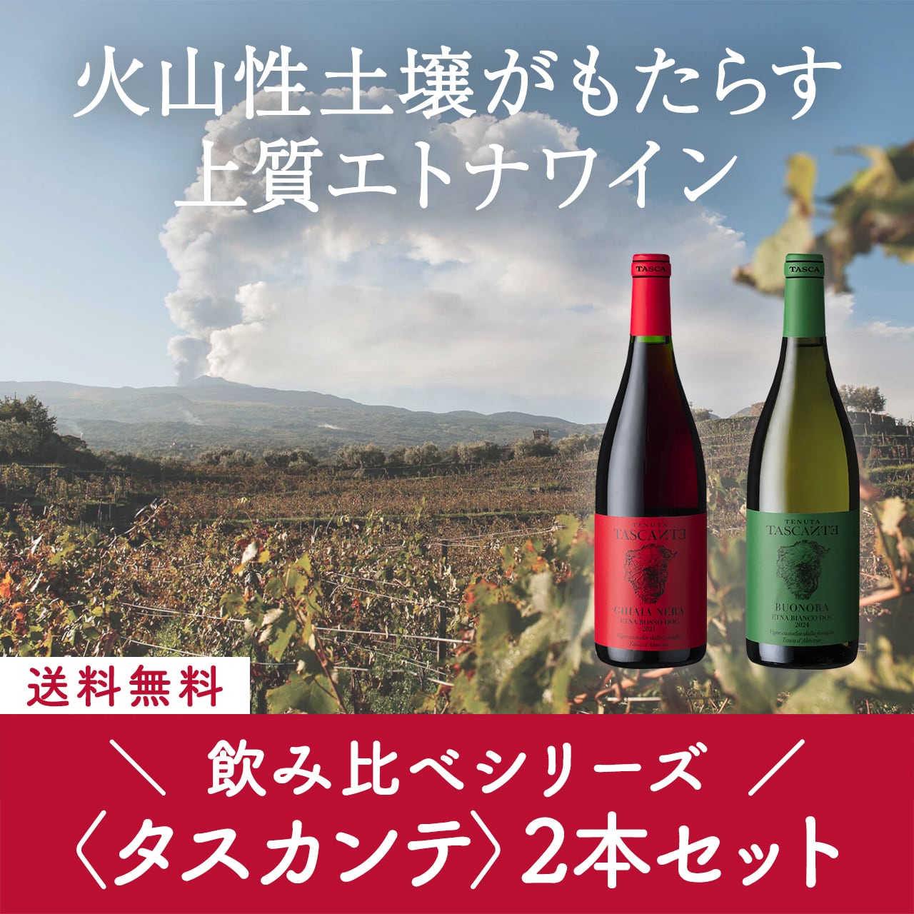 シチリア州 | チャオネット｜イタリアワイン＆フードの通販サイト