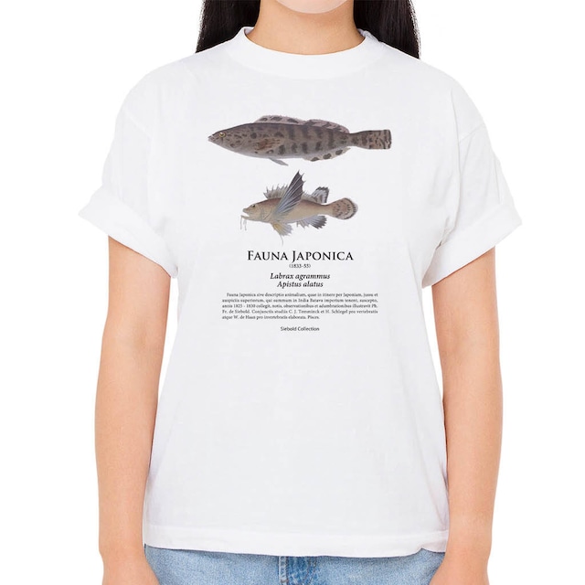 【ハチ・クジメ】シーボルトコレクション魚譜Tシャツ（高解像・昇華プリント）