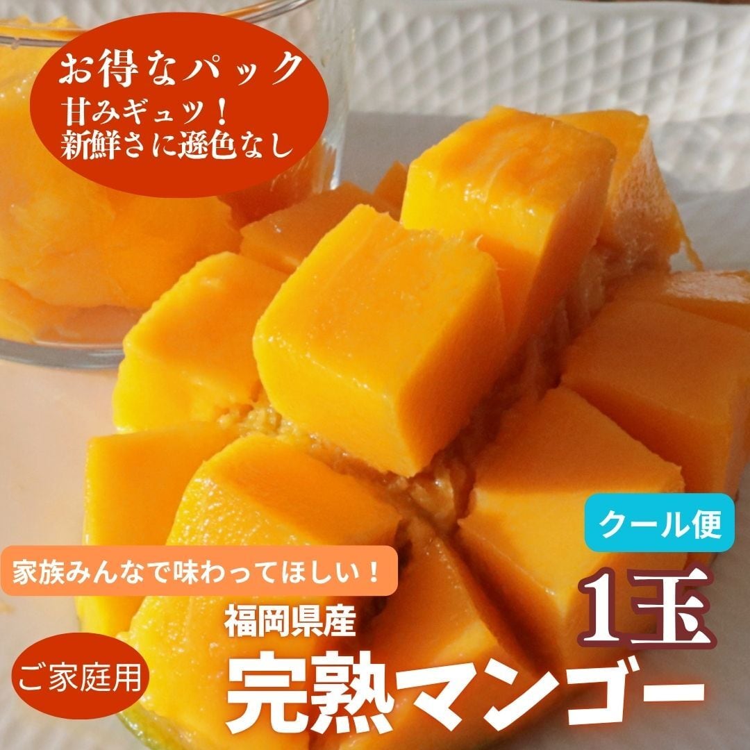 マンゴー出品 期間限定 超お得！】ご家庭で楽しめる！ 完熟マンゴー 1玉 柴田農園