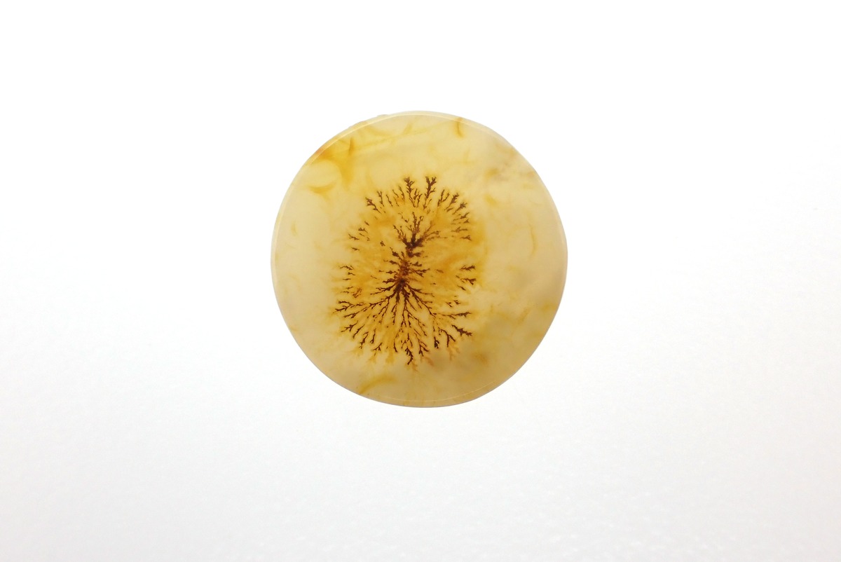 093 dendritic agate | MATERIALS+