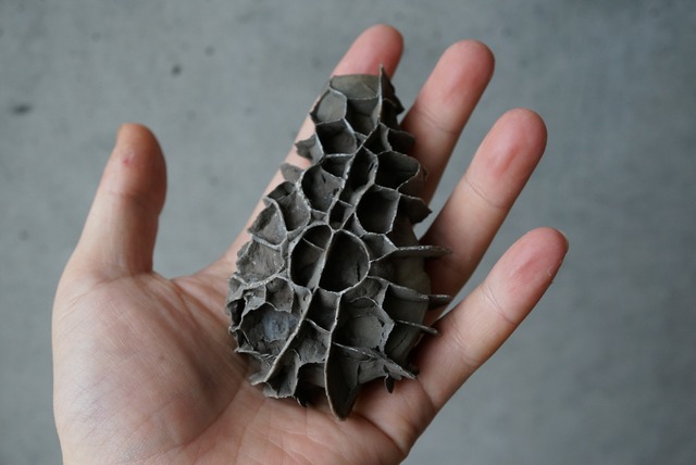 湖南省産亀甲石 1107