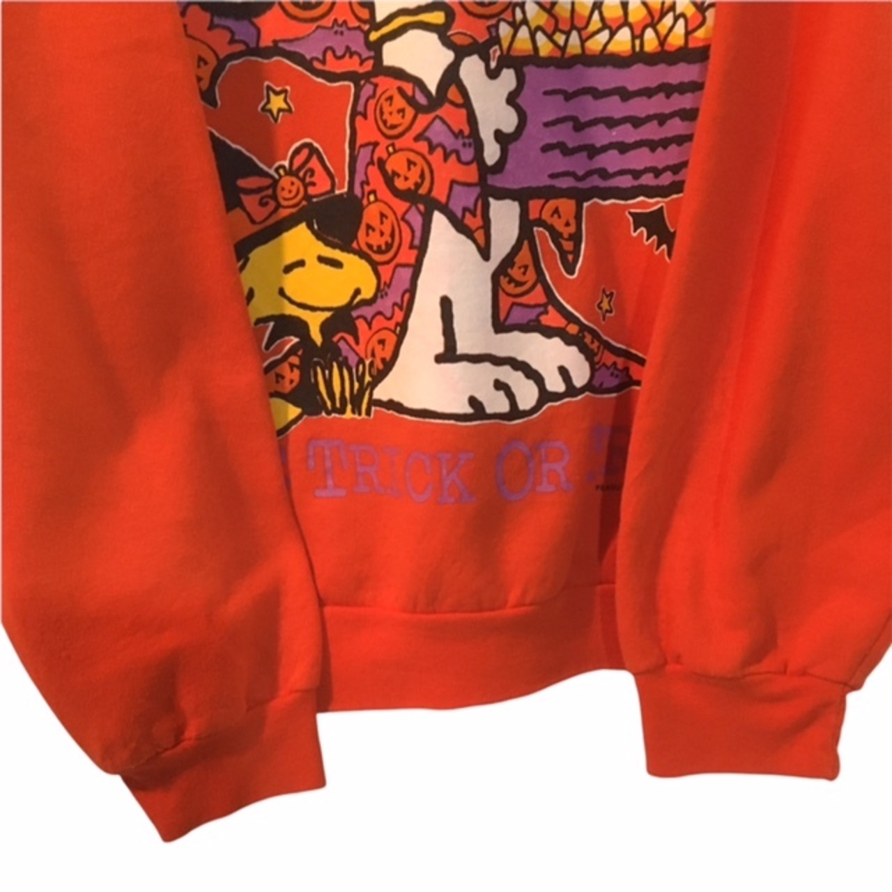 US輸入】90s カナダ製 peanuts スウェット トレーナー スヌーピー 