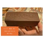 PUスクイーズ チョコ(5000387)
