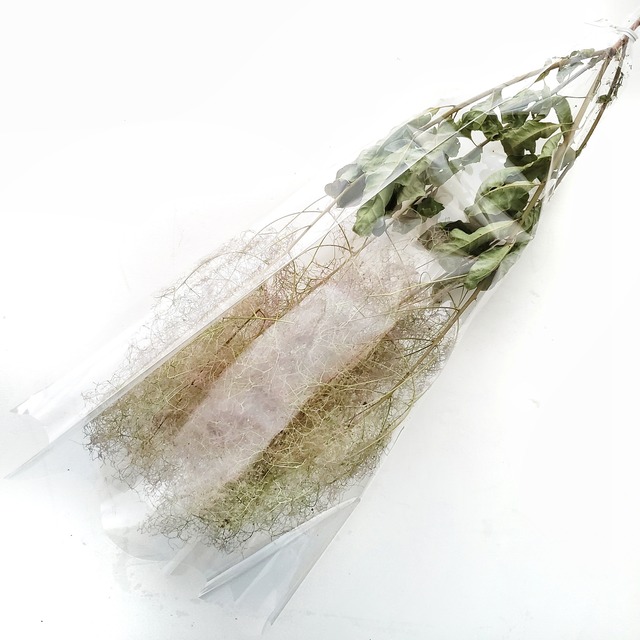 スモークツリー フレッシュドライ グリーンパープル 1束 天然無着色ドライフラワー ハーバリウム花材 アトリエ明日音 アトリエ明日音 名古屋花材問屋 プリザーブドフラワー ドライフラワー ハーバリウム花材 資材