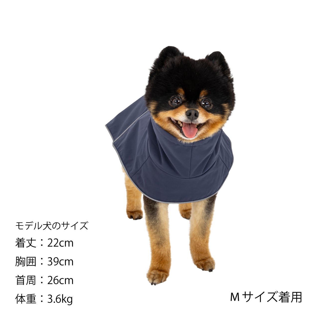 レインボーさま専用 RAIN JACKET（M.L） レインジャケット | MANDARINE BROTHERS