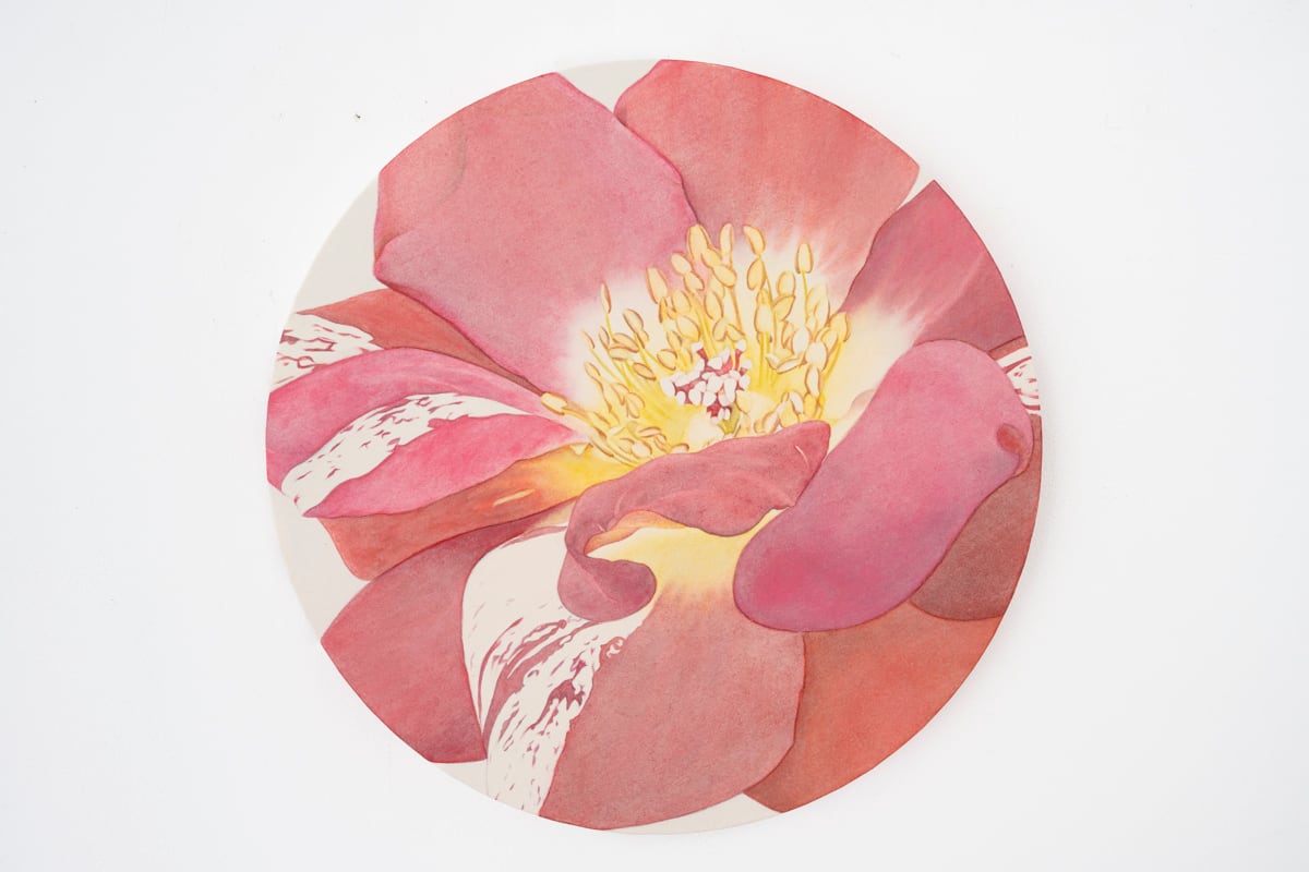 「きらり」高橋希和 作