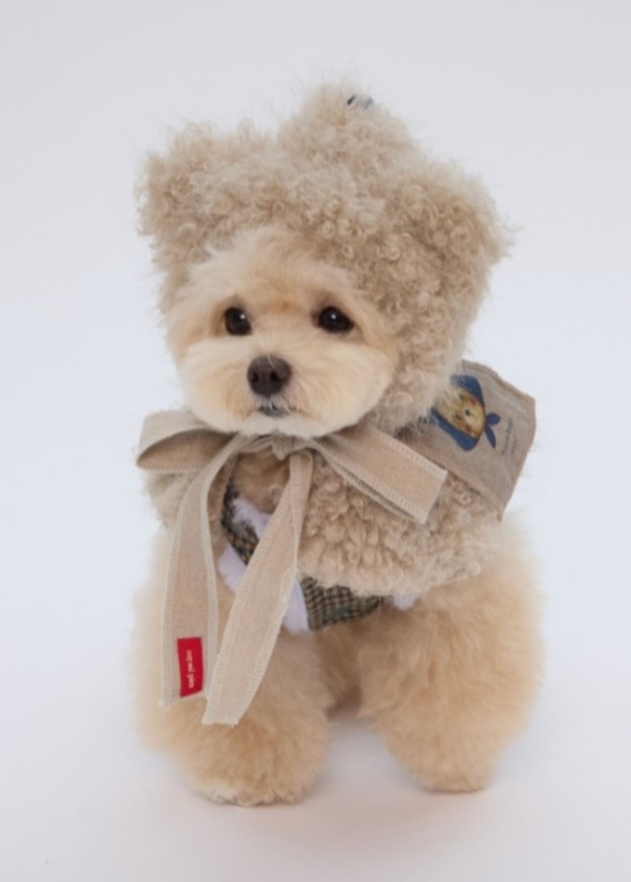 在庫確保済【COZY N】Teddy Balaclava