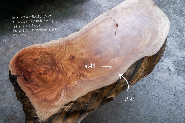 ケヤキ根元の輪切り一枚板 　センターテーブル