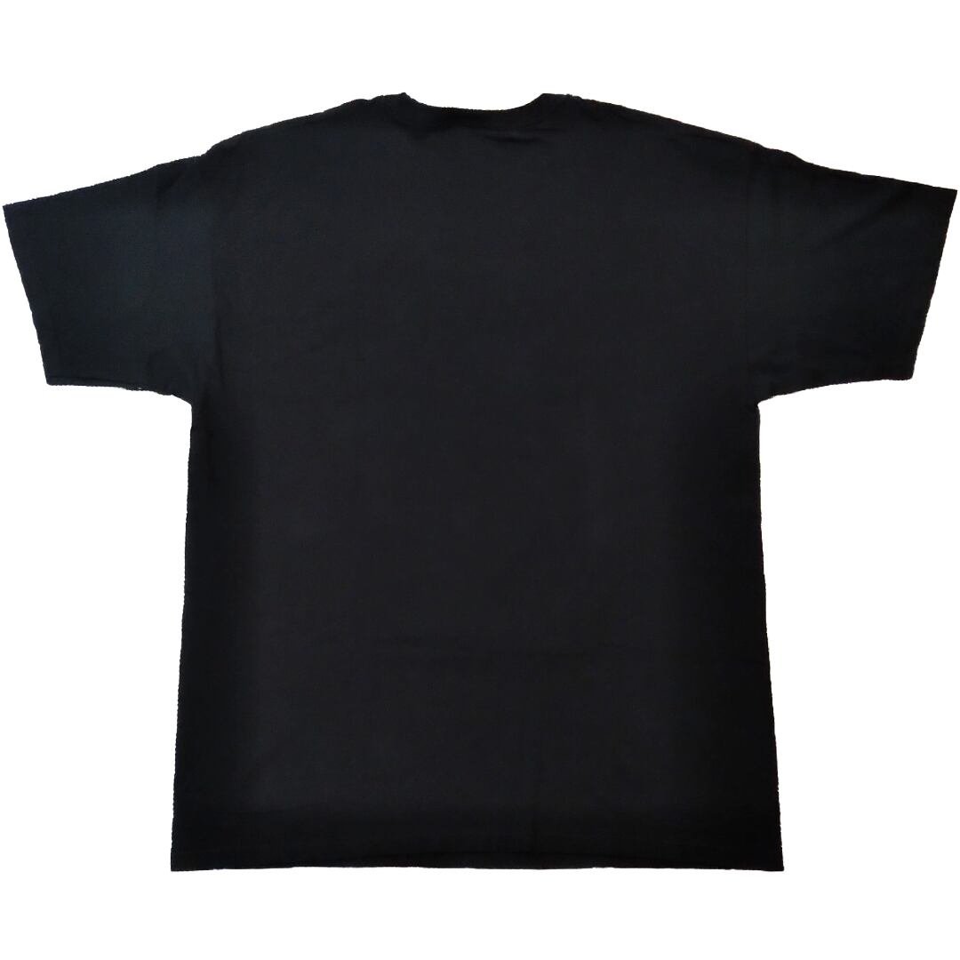 すずめの戸締まり Tシャツ XL 黒 ダイジン アニメT ムービー