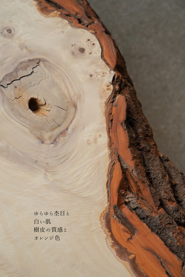 ポプラのローテーブル 3辺カットした一枚板  変な棚つき