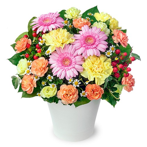 11月オススメ商品⑥　アレンジメント