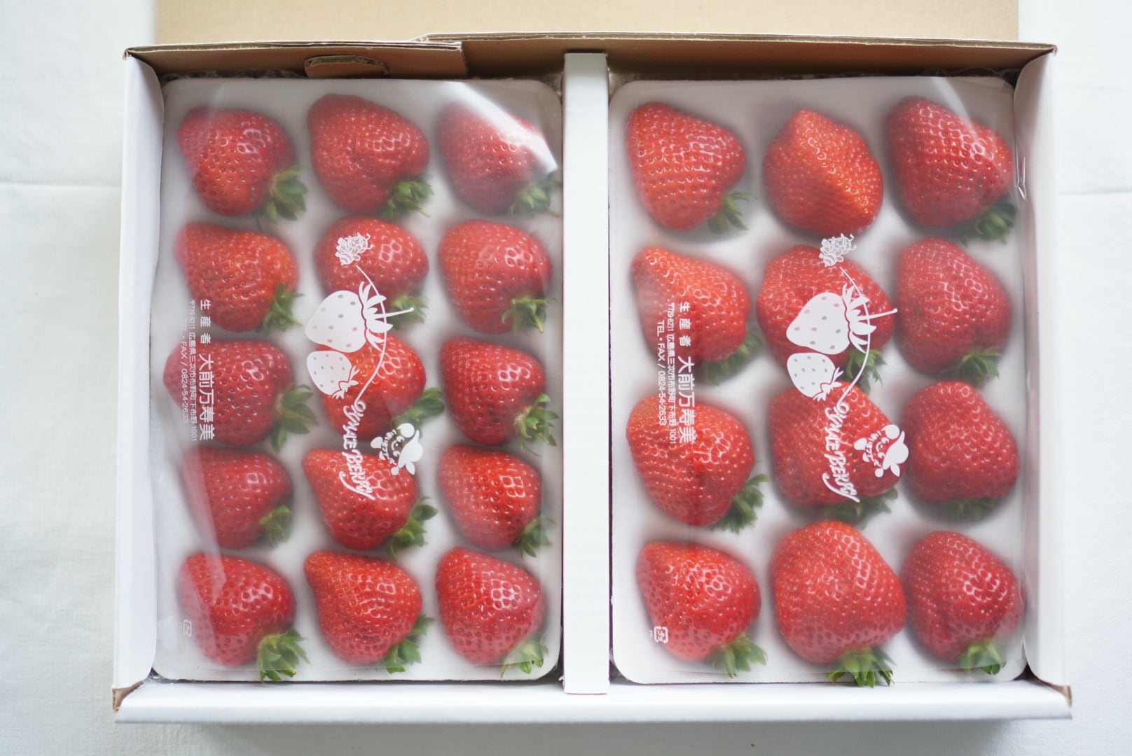 完熟いちご詰め合わせ（箱入り） | OMAE FARM