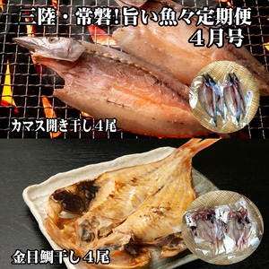 4月号　三陸・常磐！旨い魚々セット