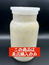 【店頭のみ】Naturaカワラタケ菌糸ボトル 1100cc