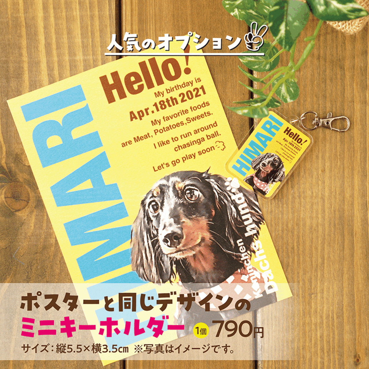 2L版 ポスター 〈ポップstyle〉★A4版はオプション