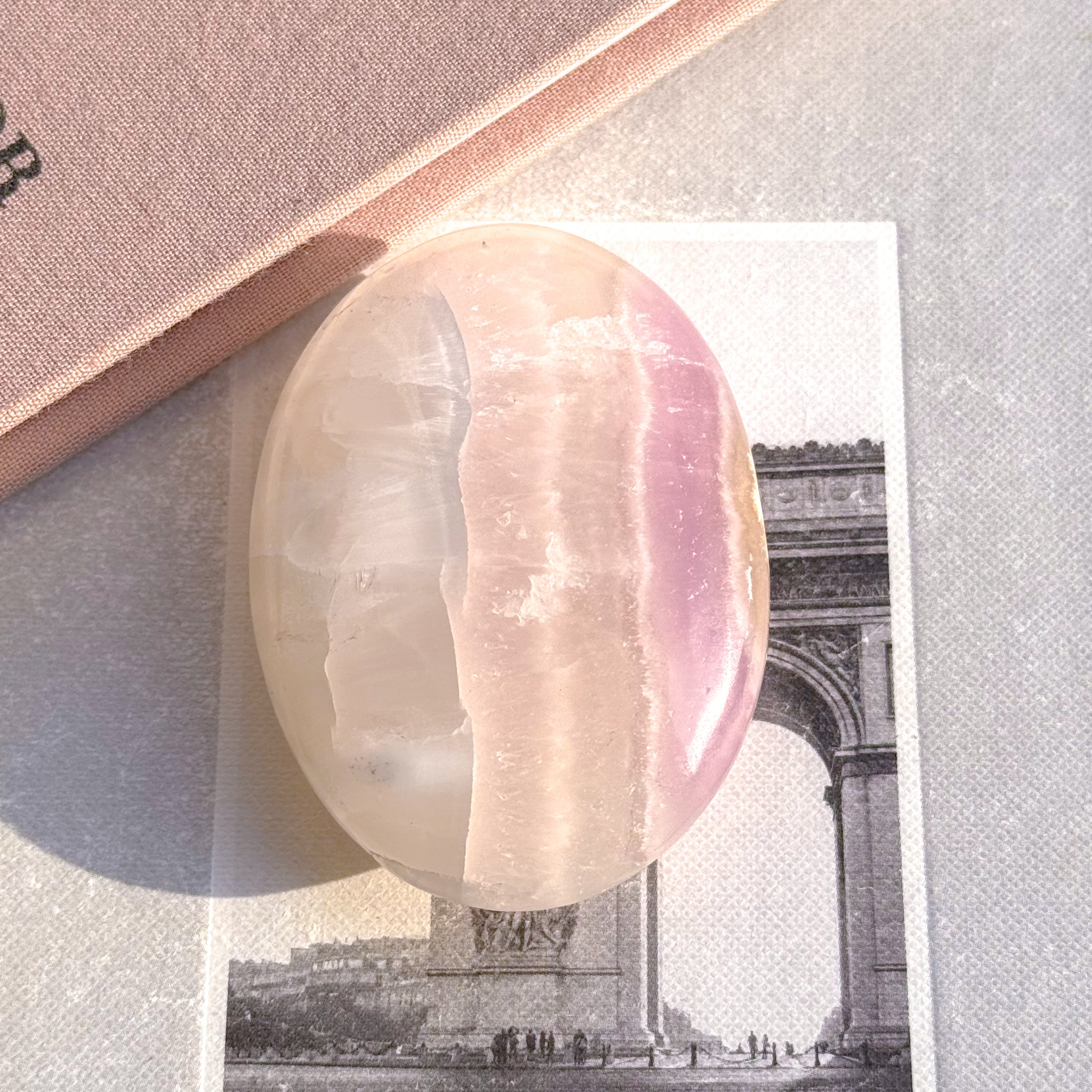 Pink Aragonite Palm 14 ✧ ピンクアラゴナイト