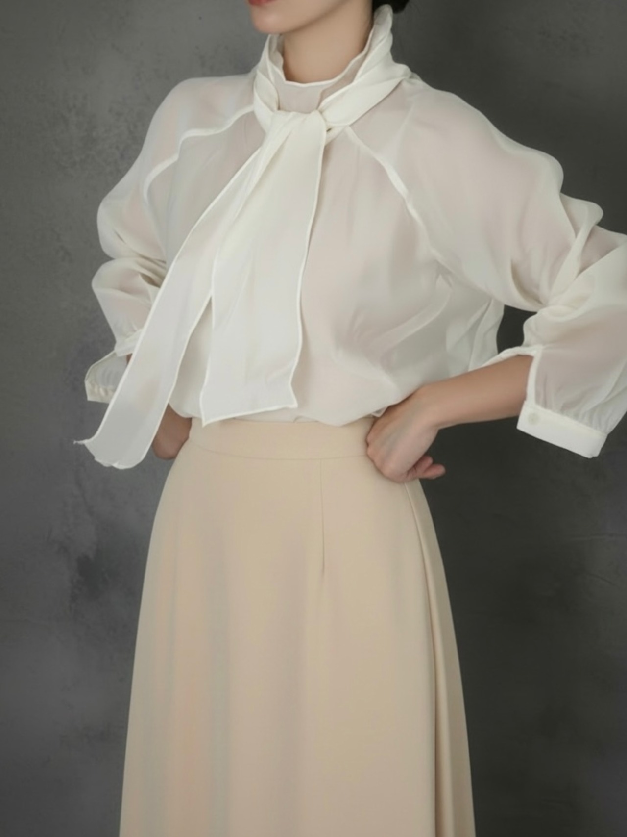 Tie-Neck Sheer Blouse