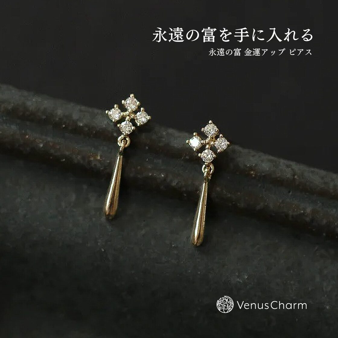 永遠の富を手に入れる 金運アップ ピアス | PAY ID