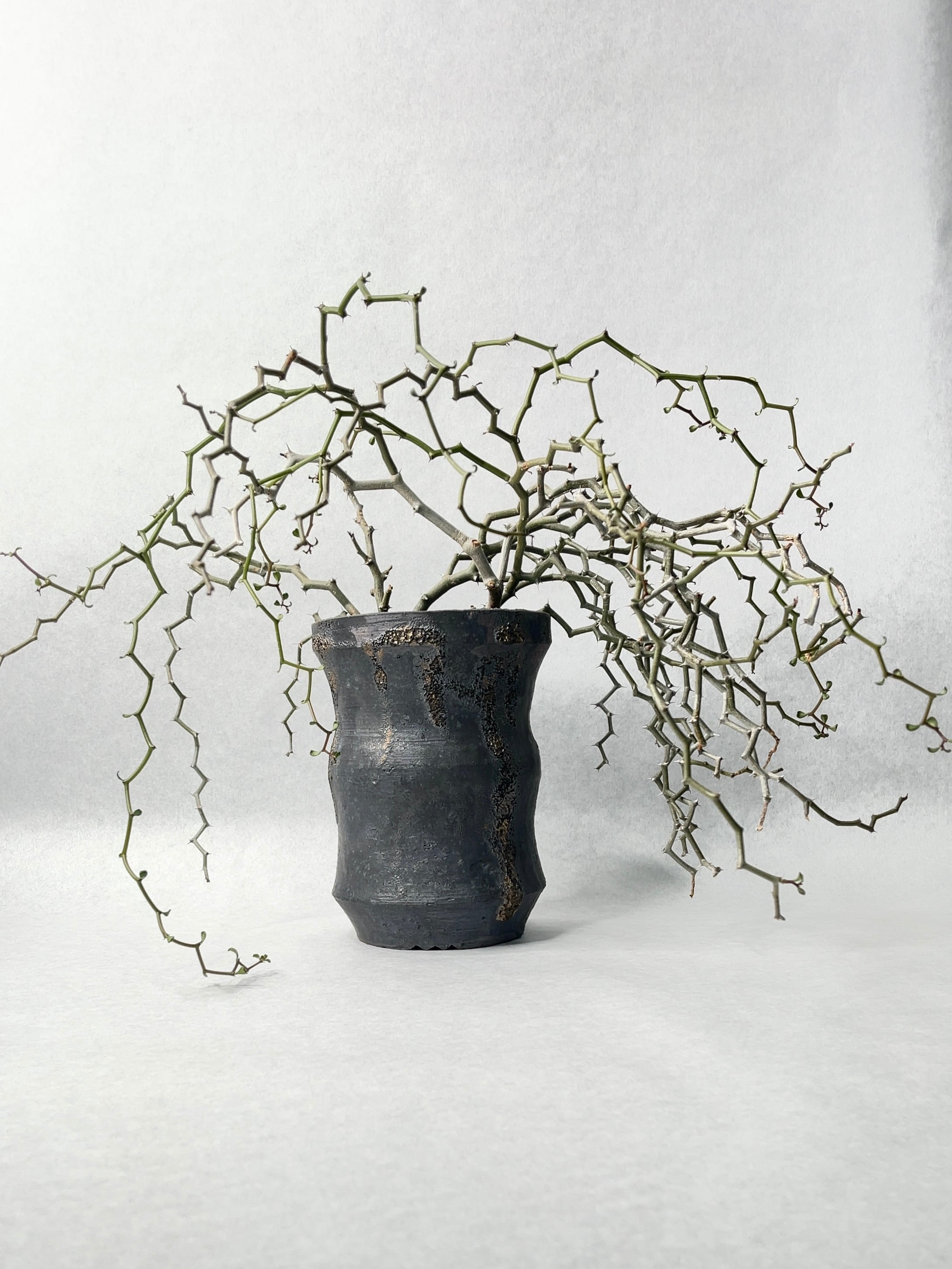 f126f2265c452689801c4b5fcc7ed3