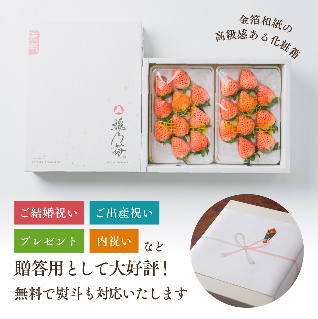 お歳暮/冬ギフト】雅乃苺 淡雪 440g(220g×2P) 熊本産 希少な白いちご
