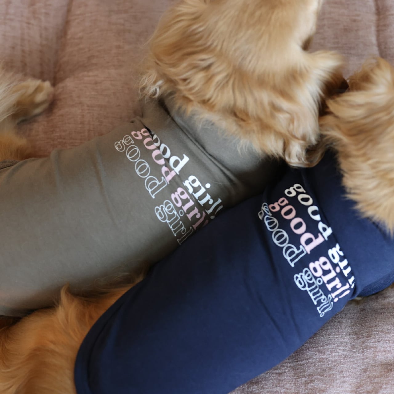 GOOD GIRL （Tシャツ） | カニンヘンダックスとミニチュアダックス専門
