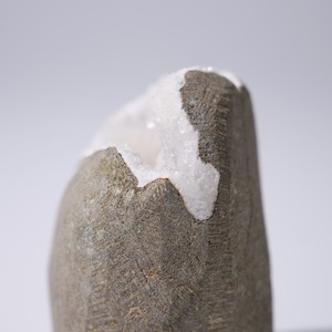 スコレサイト スコレス沸石 / 原石 標本