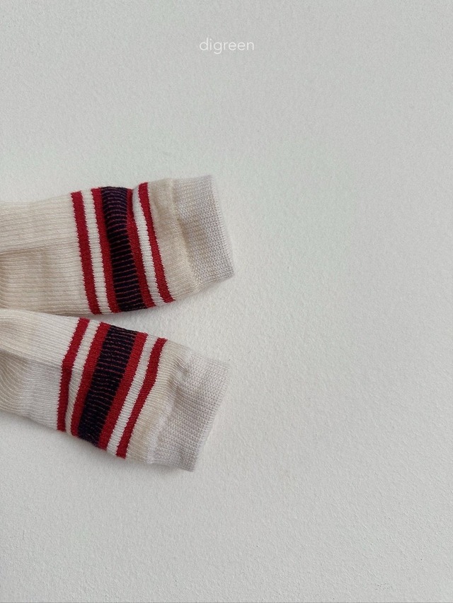 〘予約〙digreen / socks_ Authentic
