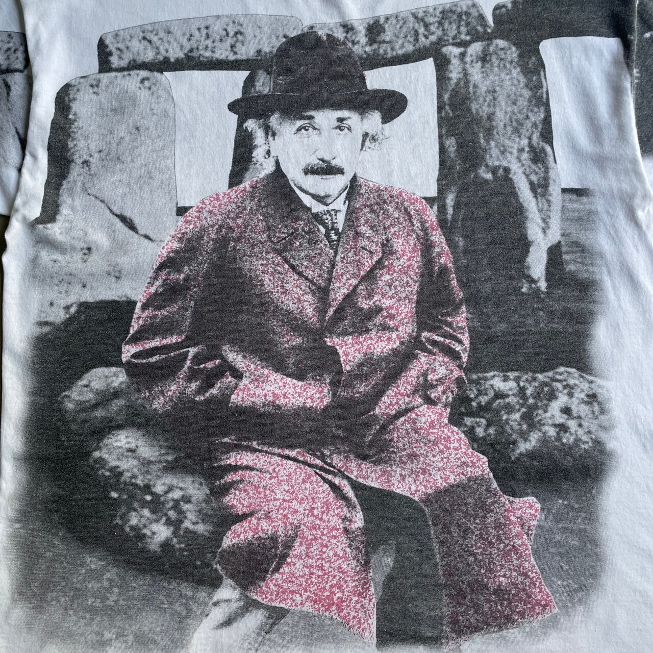 90年代 アルベルト・アインシュタイン Albert Einstein オールオーバー 