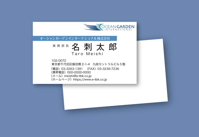 BUSINESS CARD : 片面カラー（100枚）