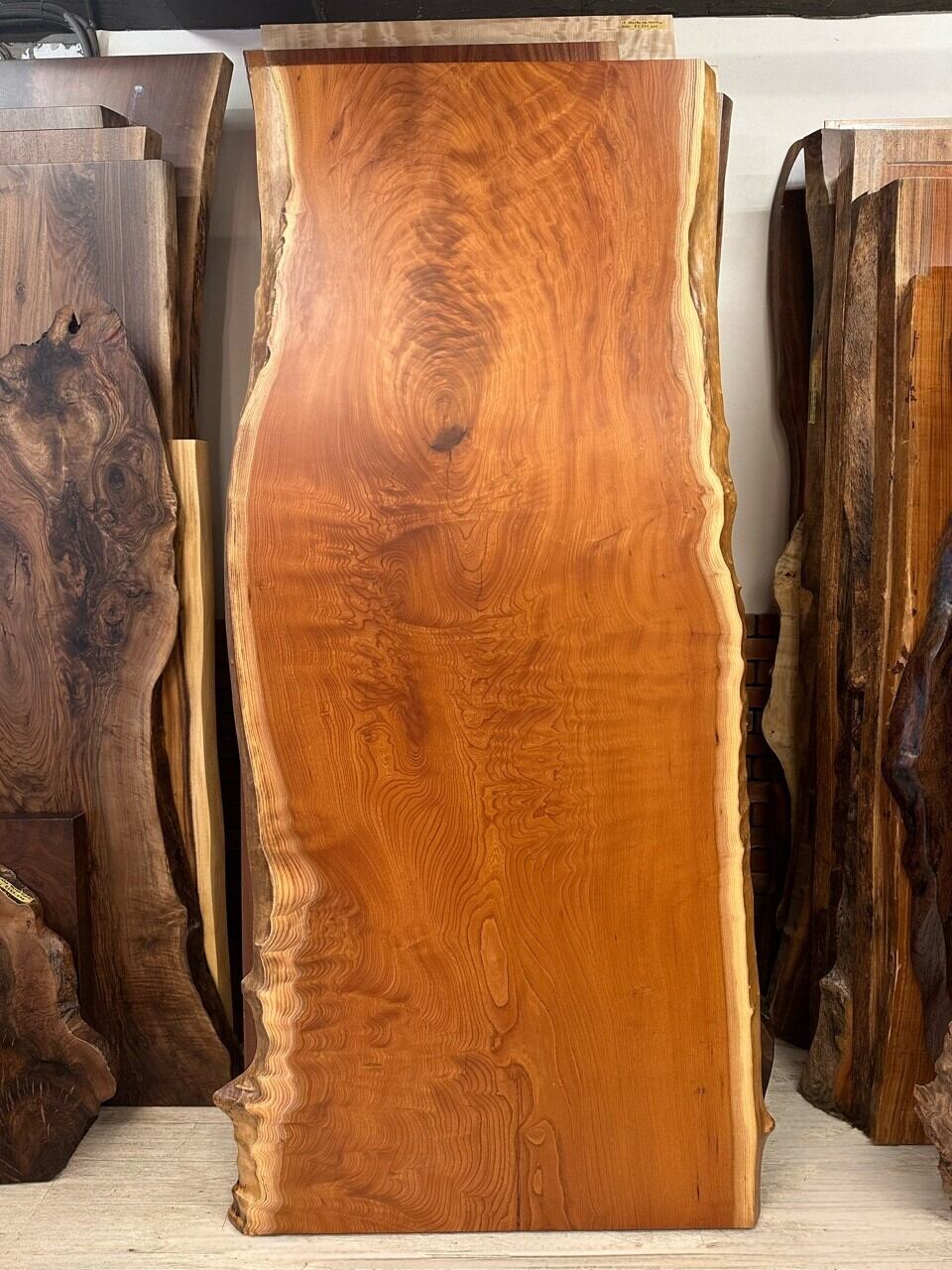 一枚板 ＊ 店舗／樹種で探す | 千年家具 - 一枚板 テーブル専門店