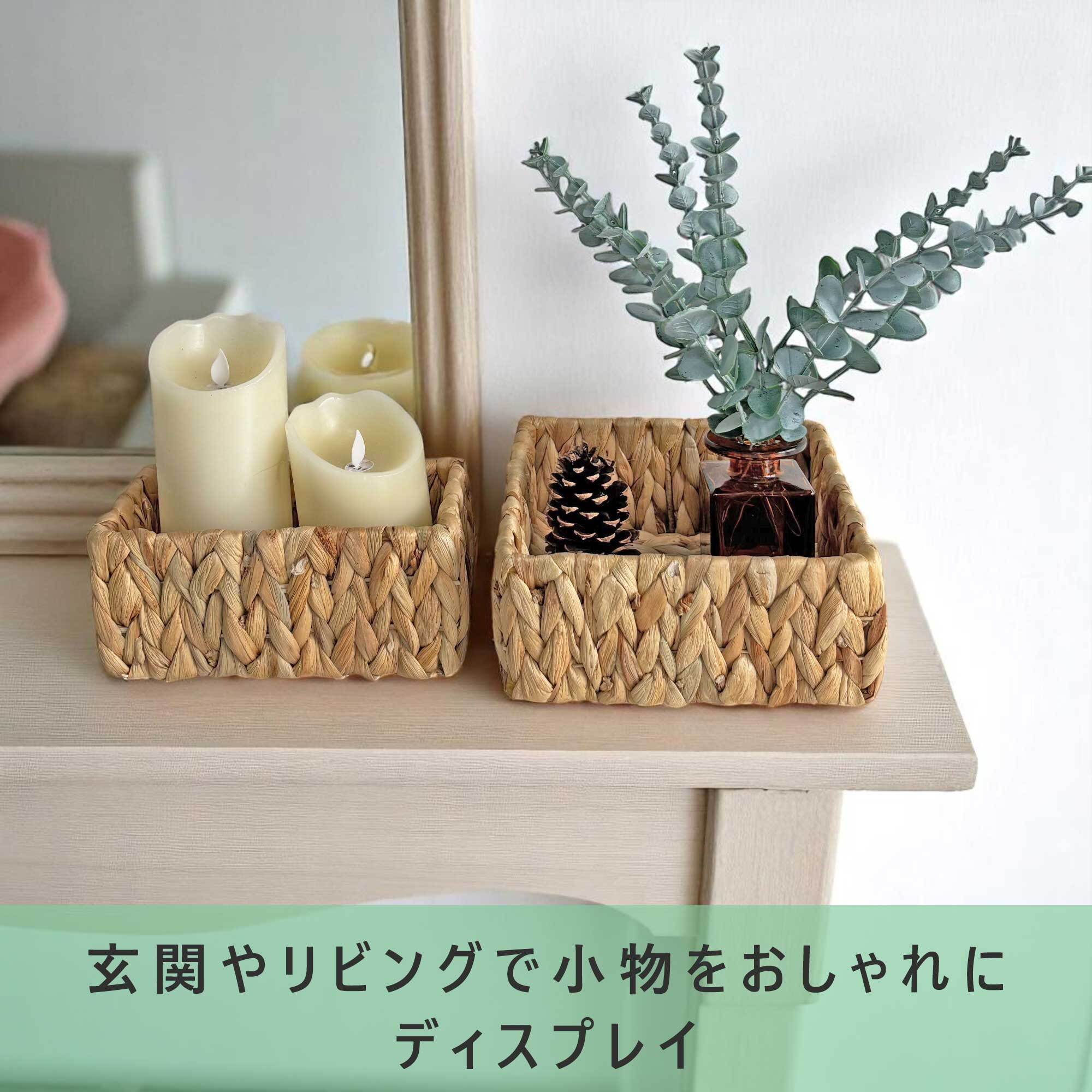 ウォーターヒヤシンス 3点セット