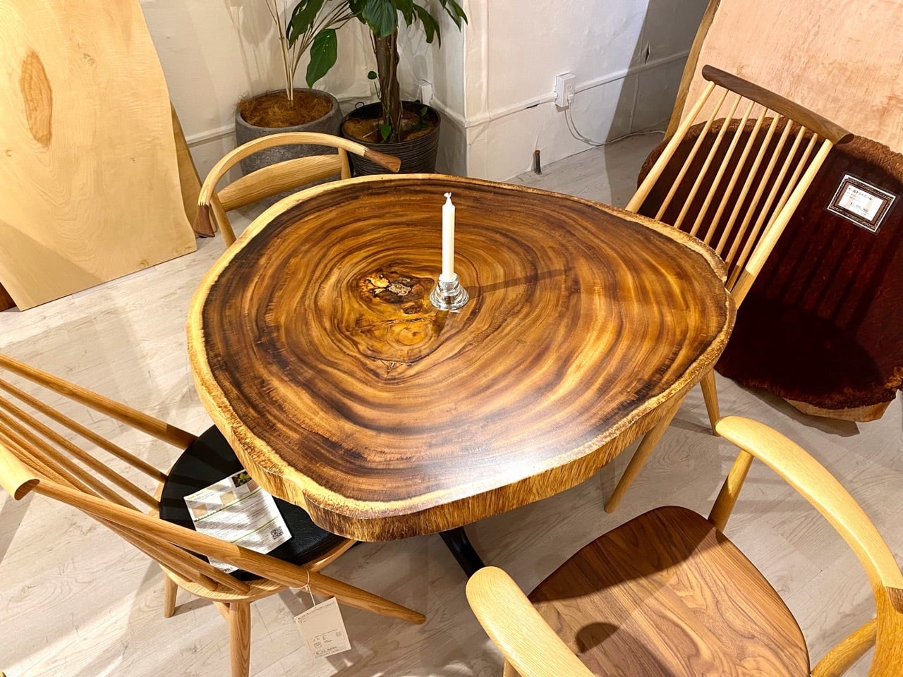 ≪横浜元町店≫ モンキーポッド 輪切り 1000×1050×58 221572