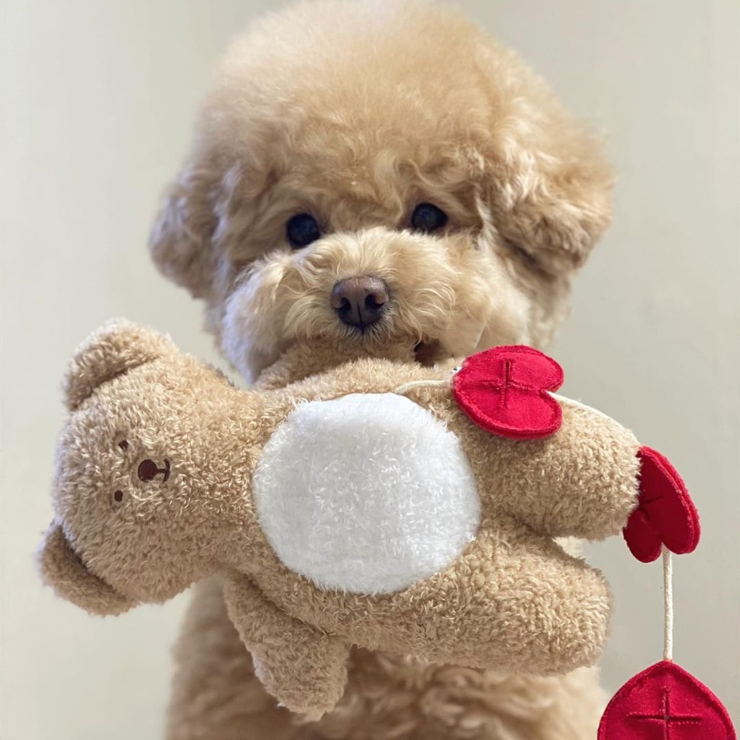 toy【ふわふわハートくまさんトイ】犬 おもちゃ プレゼント DOGTOY