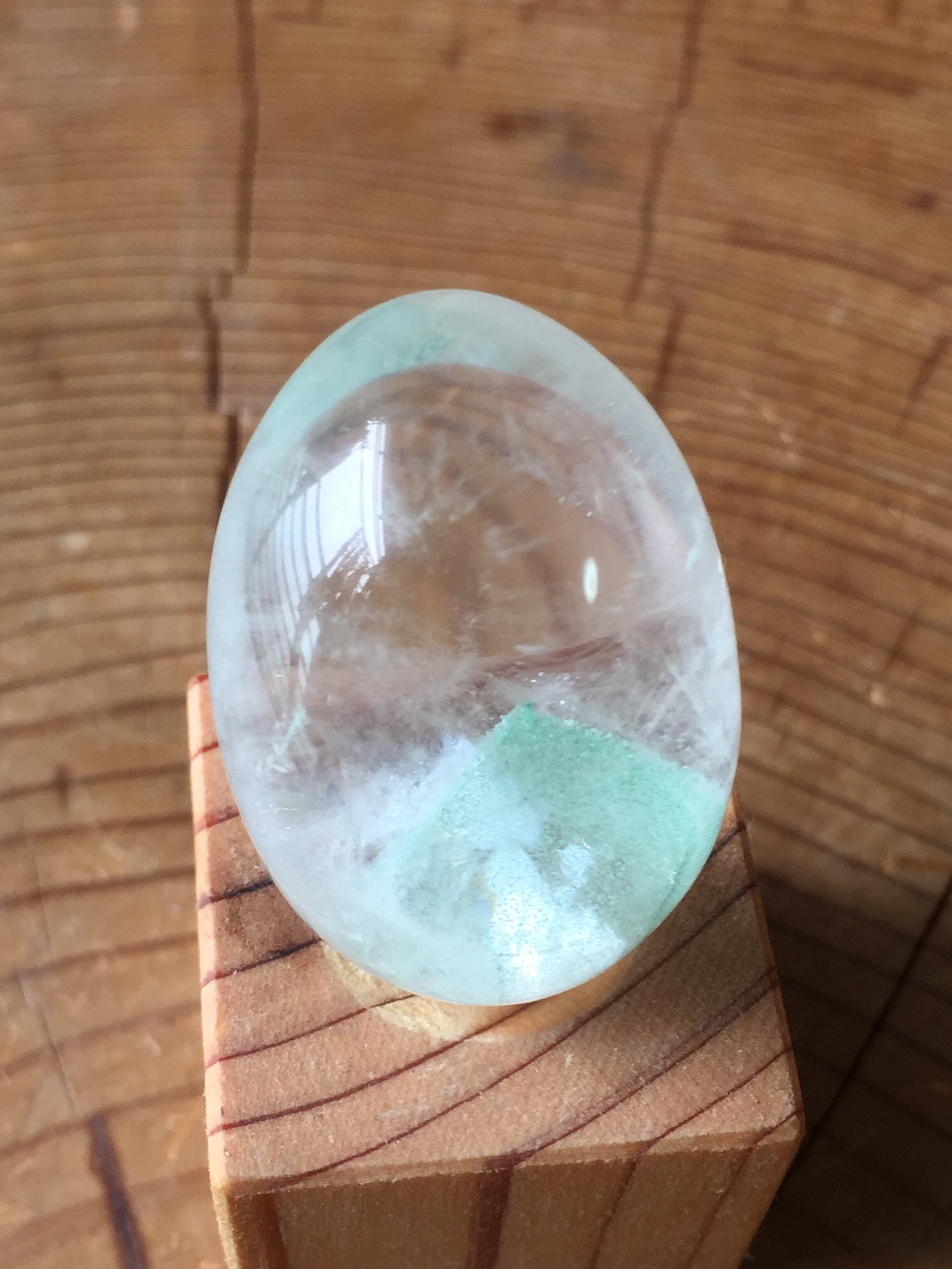 【君は有名になる】グリーンファントム egg