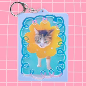 GURUGURU LIGHT BLUE × AURORA