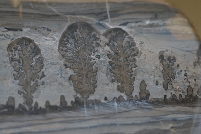 コタム・マーブル　Bristol Picture Stone 4