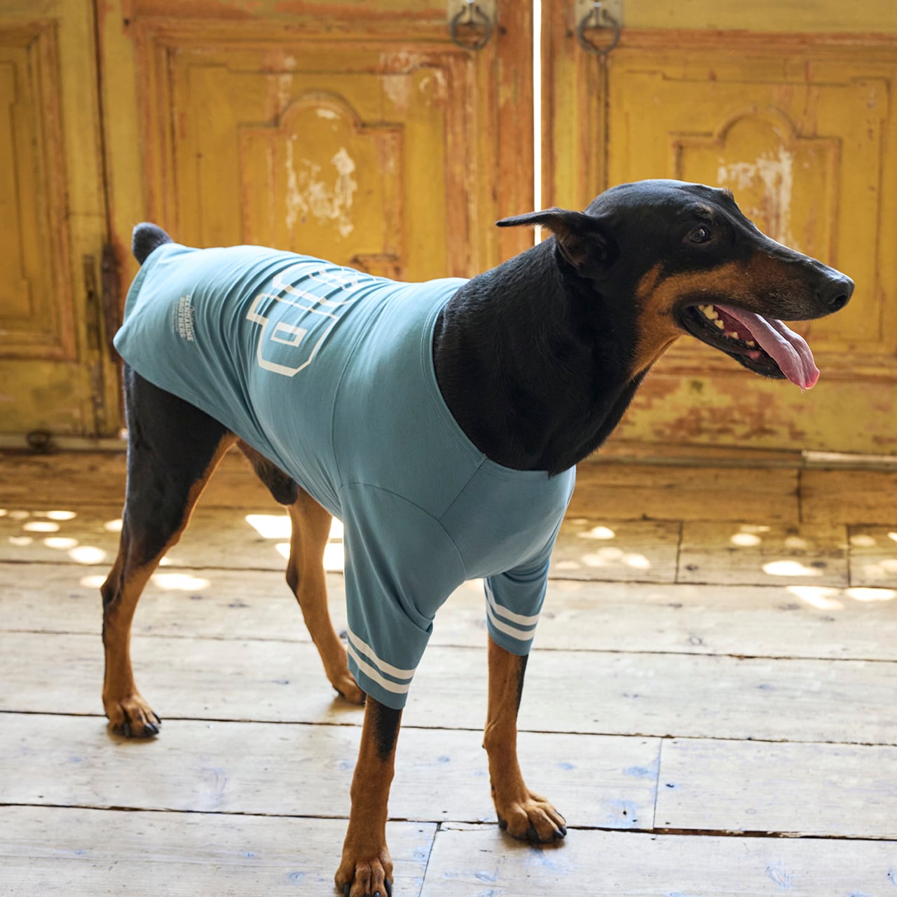LONG SLEEVE T-shirt（XL.XLB.XXL） ロングスリーブTシャツ