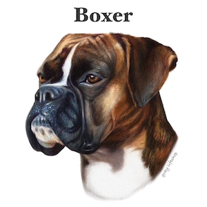 gray original Dog face &breed printed S/S TEE［Boxer］