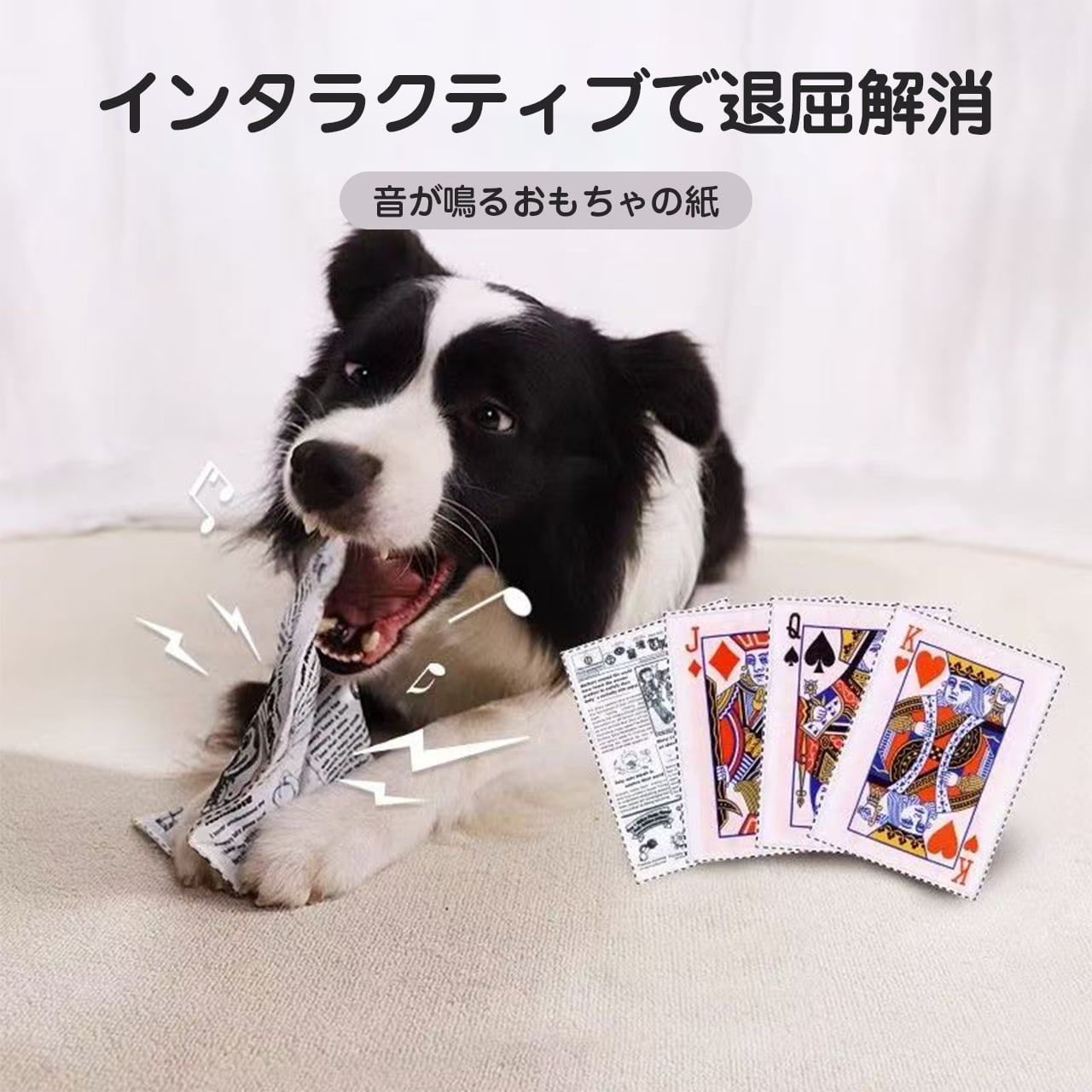週末限定】犬と猫の検査・手技ガイド2019 私はこう読むinterzoo 獣医