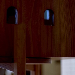 Cat Tree House