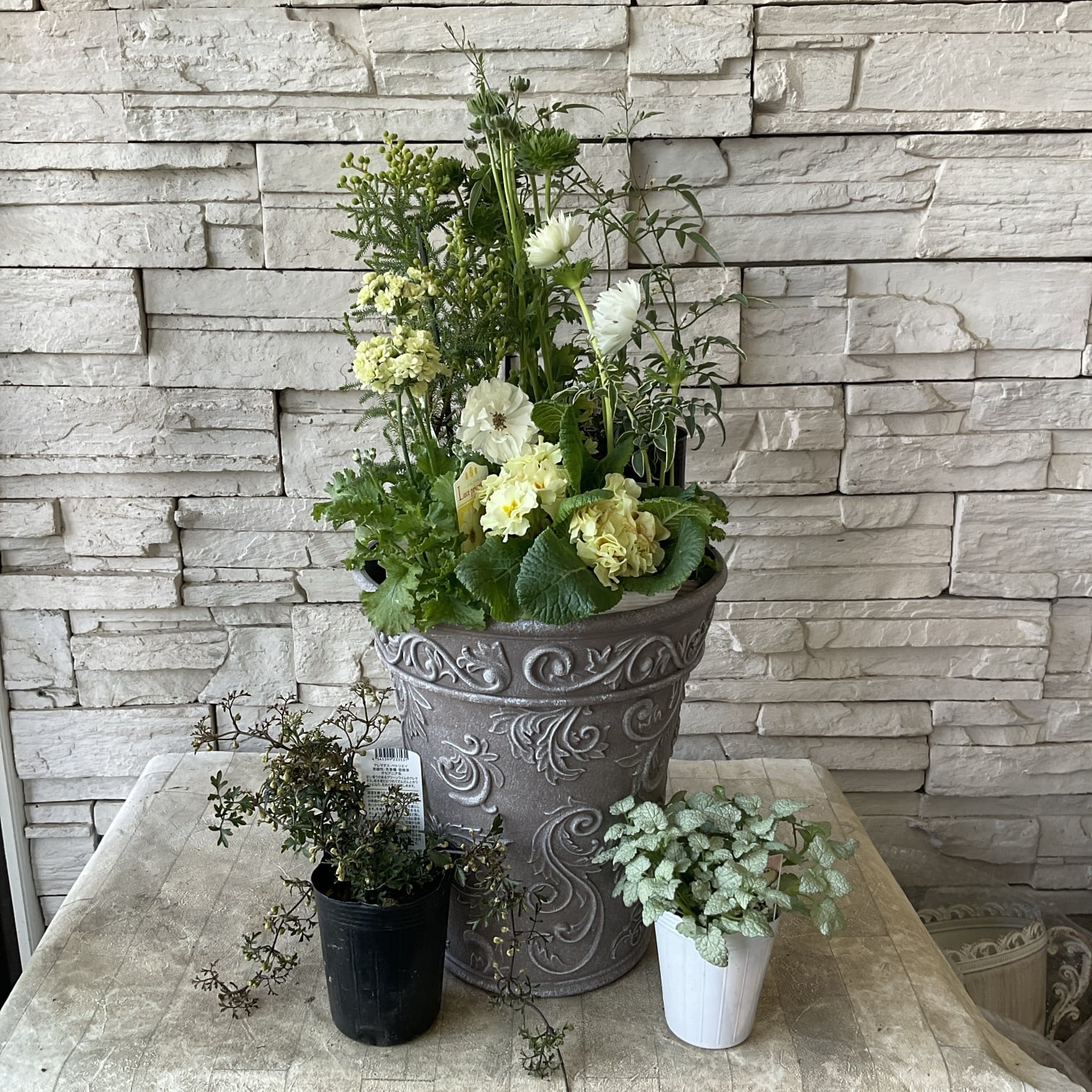寄せ植え完成品】グリーンとライムイエローの寄せ植え | 橋本種苗園