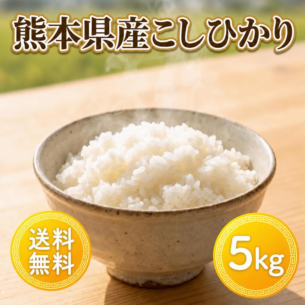 お米 米 5kg 白米 送料無料 大分県 玖珠産 ひとめぼれ 高級米 令和7