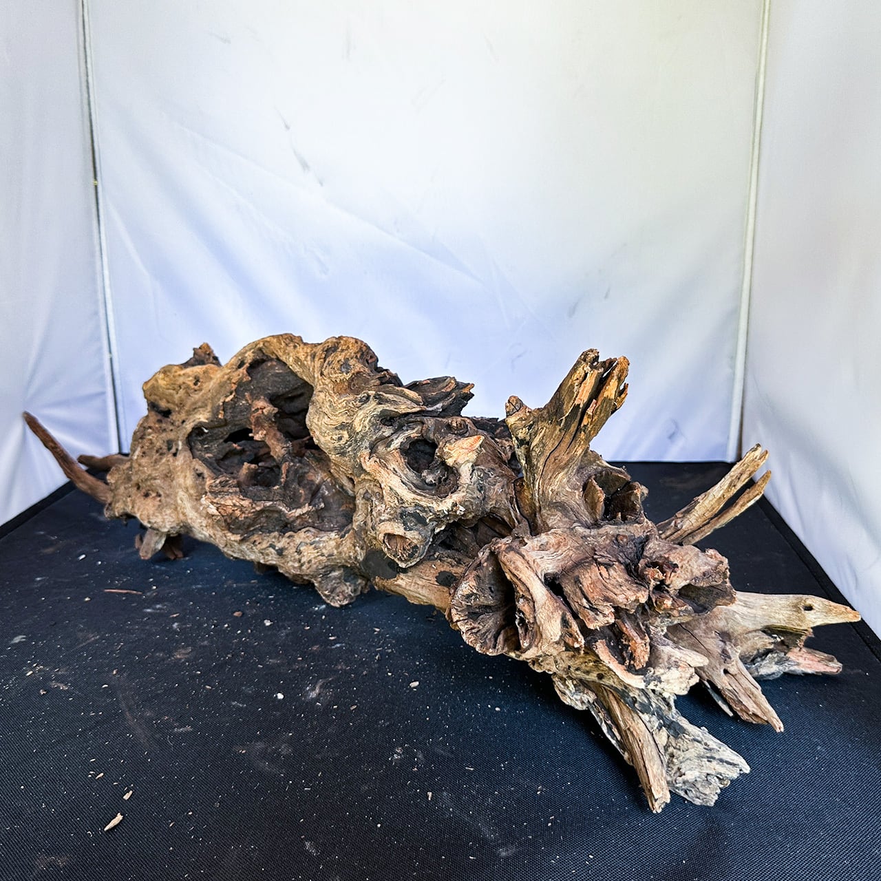 ２８０ホーンウッドあく抜き硬質自然流木のインテリア置物ワイルド 280ホーンウッドあく抜き硬質自然流木のインテリア置物