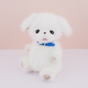 111 ペキニーズ(青)