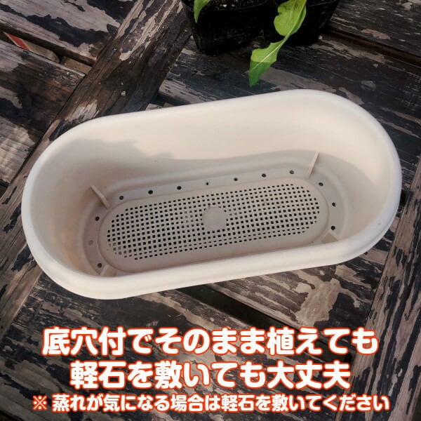 プランター 植木鉢 鉢 おしゃれ（プラ製プランター 白） | ハーブ苗の