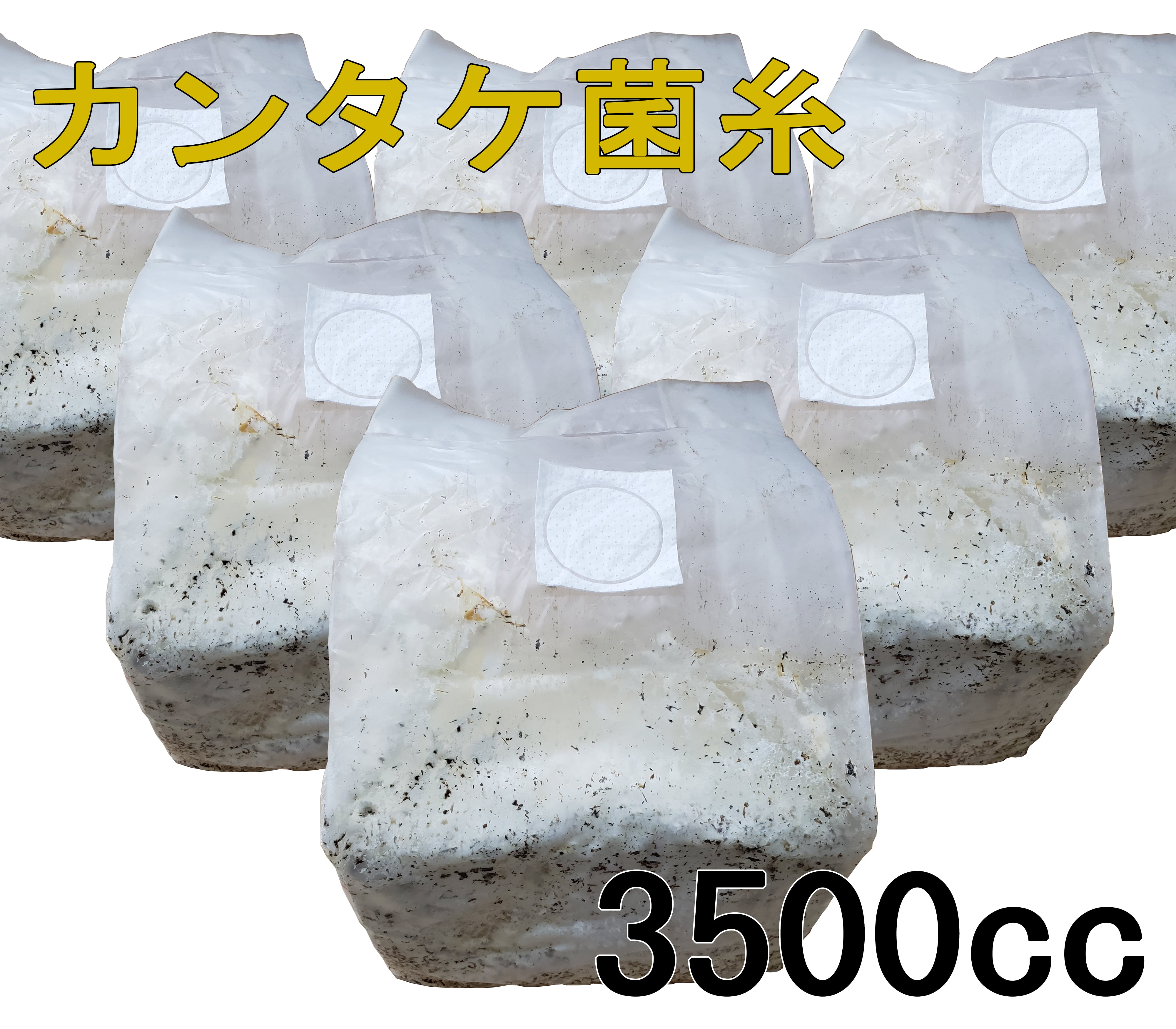高性能・高品質 BREED菌糸ブロック 3500cc 6個セット（ブリード 菌糸