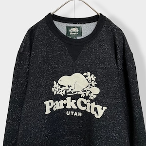 【ROOTS CANADA】UTAH PARK CITY ユタ州 パークシティ ブランドロゴ アップリケ スウェット トレーナー プルオーバー L 黒ボディUS古着