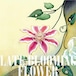 CD ミニアルバム「遅咲きの花」