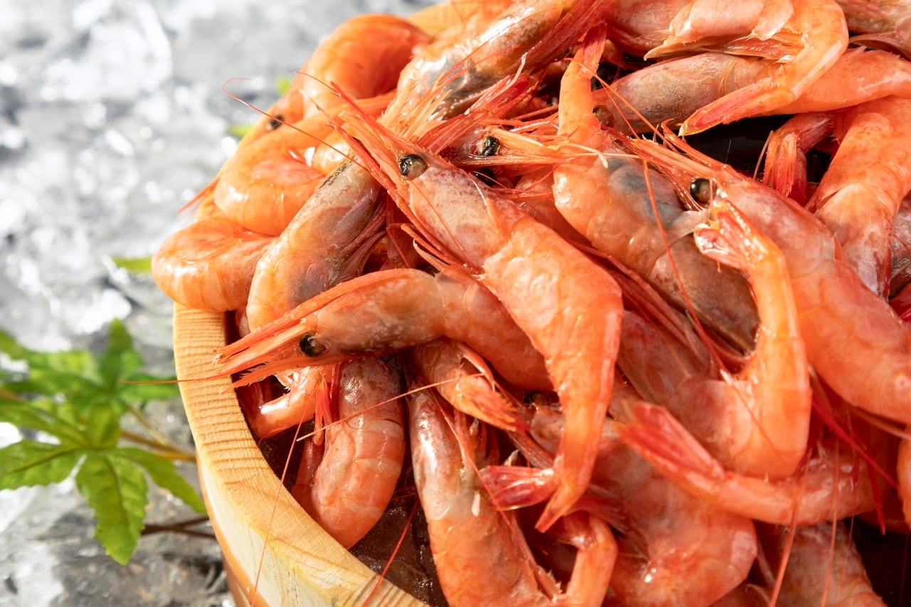 甘えび 2kg【冷凍】 | オホーツク紋別マルカイチ水産